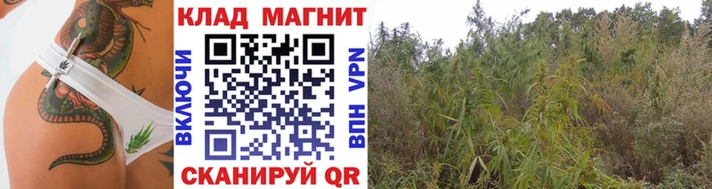 Купить закладку ГАШИШ  АМФЕТАМИН  Метамфетамин  Бошки Шишки  Cocaine  Меф  Чистополь