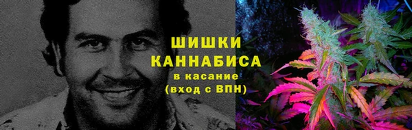 мдпв Липки