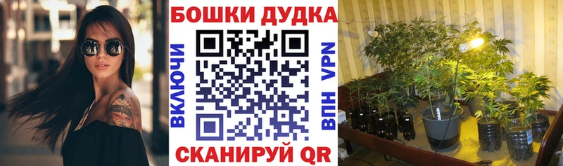 Купить  Чистополь  Шишки марихуана семена 